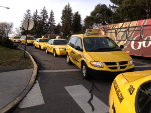 Line of taxi cabs