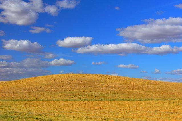 Golden hills of the Palouse